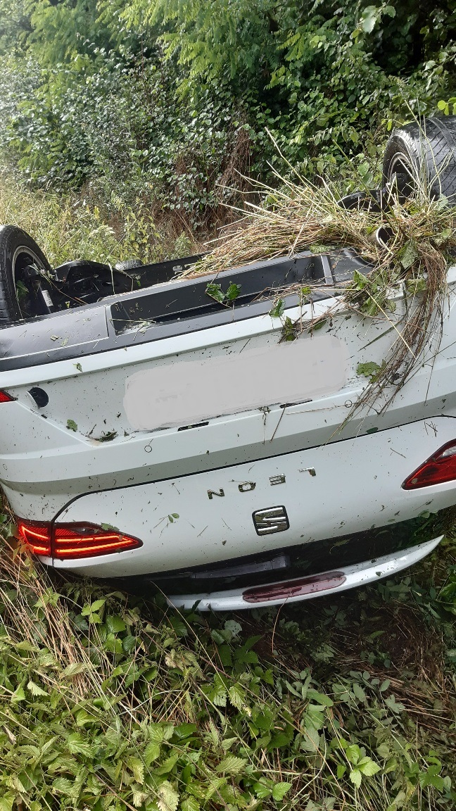 20230726_131254_resized bearbeitet.jpg